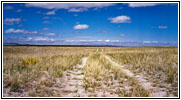 Emigrant Trail Rd/RD319, WY