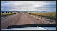 Horses, Backroad, WY