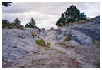 Oregon Trail Ruts/Guernsey Ruts, WY