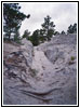 Oregon Trail Ruts, WY