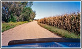 Backroad, Nebraska