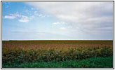 Backroad, Nebraska