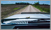 Grasshopper Valley Rd, Kansas