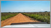E 810 Rd, OK E 810 Rd, OK