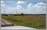 Käferspinne, Highway 77, Lexington, Oklahoma Käferspinne, Highway 77, Lexington, Oklahoma