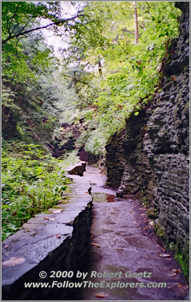 Watkins Glen State Park, New York