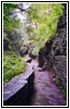 Watkins Glen State Park, New York