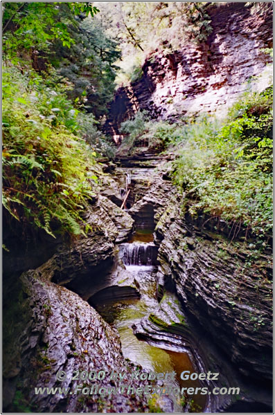 Watkins Glen State Park, NY