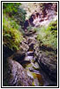 Watkins Glen State Park, New York