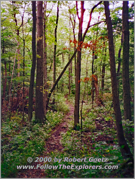 Long Trail, Clark Reservation State Park, New York