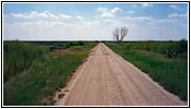 Cheyenne Bottoms Rd, KS