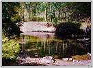 FR235, Medano Creek, CO
