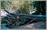 Zapata Falls Trail over Creek, CO