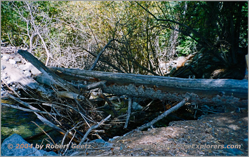 Zapata Falls Trail over Creek, CO