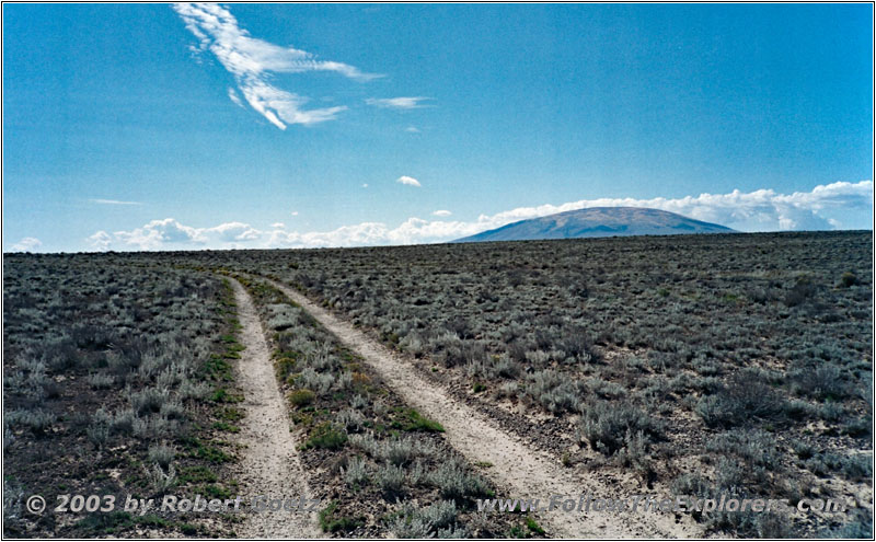 Backroad, NM