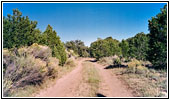 Backroad, NM