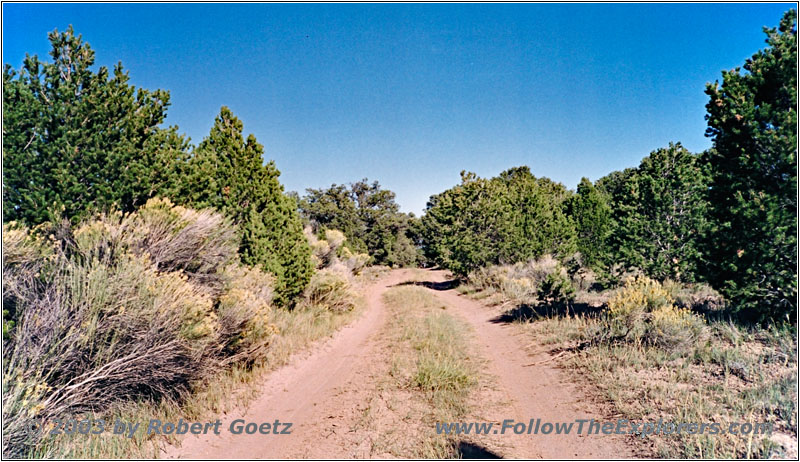 Backroad, NM