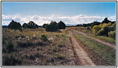 Backroad, New Mexico