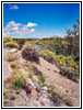 Rio Grande, Coronado State Monument, NM