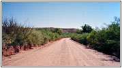 Bosquecito Road, NM