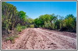 Bosquecito Road, New Mexico