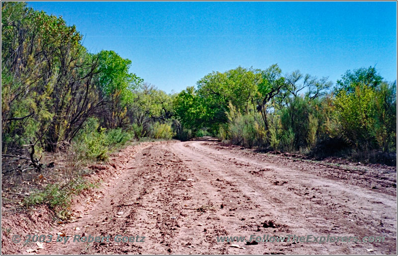 Bosquecito Road, NM