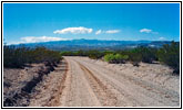 Bosquecito Road, New Mexico