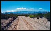 Bosquecito Road, NM