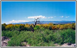 Bosquecito Road, NM