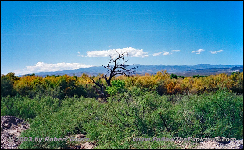 Bosquecito Road, NM