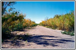 Backroad, NM