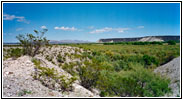 Backroad, New Mexico