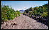 Backroad, NM