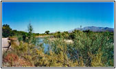 Bermuda Road, Rio Grande, NM