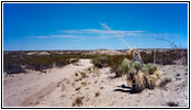 Service Road, New Mexico