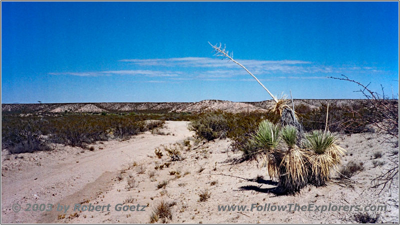 Service Road, New Mexico