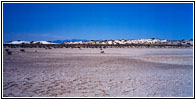 Playa Trail, White Sands, NM