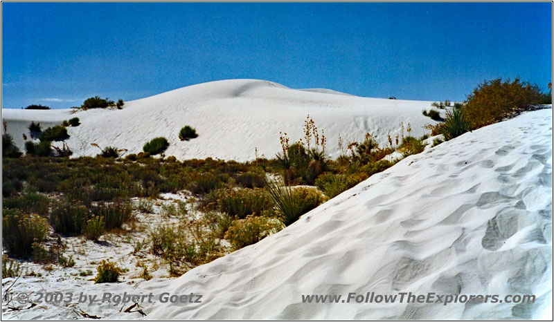 Big Dune Native Trail, White Sands, NM