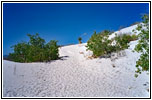 Big Dune Native Trail, White Sands, New Mexico