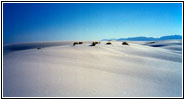 Alkali Flat Trail, White Sands, New Mexico