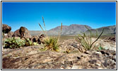 Hueco Tanks State Park, TX