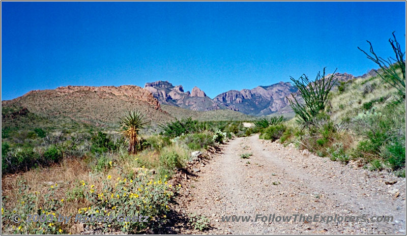 Pine Canyon Road, Big Bend National Park, TX