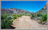 Pine Canyon Road, Big Bend National Park, TX