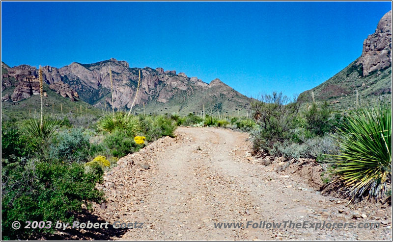 Pine Canyon Road, Big Bend National Park, TX