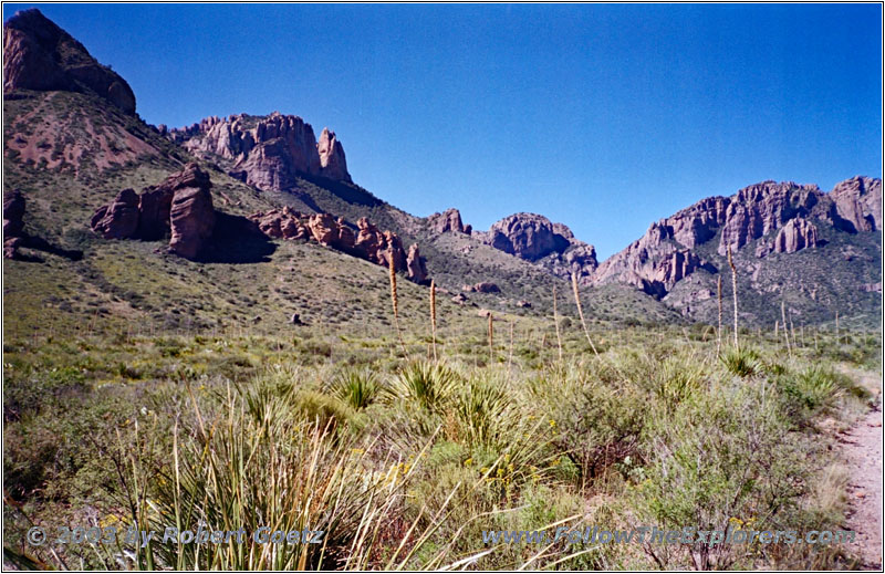 Pine Canyon Trail, Big Bend National Park, TX