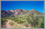 Pine Canyon Trail, Big Bend National Park, TX