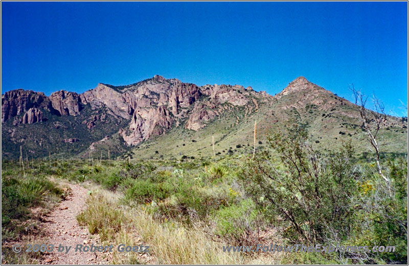 Pine Canyon Trail, Big Bend National Park, Texas