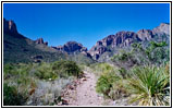 Pine Canyon Trail, Big Bend National Park, Texas