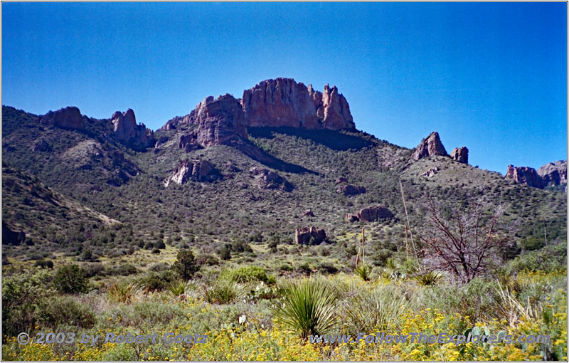 Pine Canyon Trail, Big Bend National Park, Texas