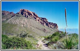 Pine Canyon Trail, Big Bend National Park, TX